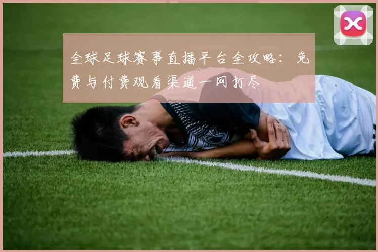 全球足球赛事直播平台全攻略:免费与付费观看渠道一网打尽