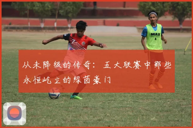 从未降级的传奇：五大联赛中那些永恒屹立的绿茵豪门