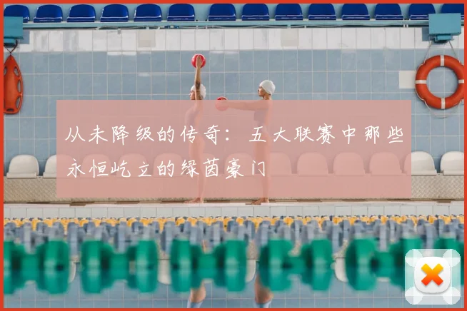 从未降级的传奇：五大联赛中那些永恒屹立的绿茵豪门