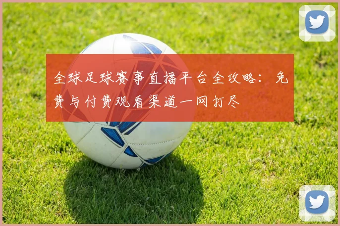 全球足球赛事直播平台全攻略:免费与付费观看渠道一网打尽